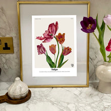 Load image into Gallery viewer, The Language of Flowers Tulips Giclée Print
