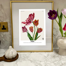 Load image into Gallery viewer, The Language of Flowers Tulips Giclée Print