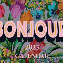 Load image into Gallery viewer, OUTLET 2024 Joy &amp; Positivity Calendar
