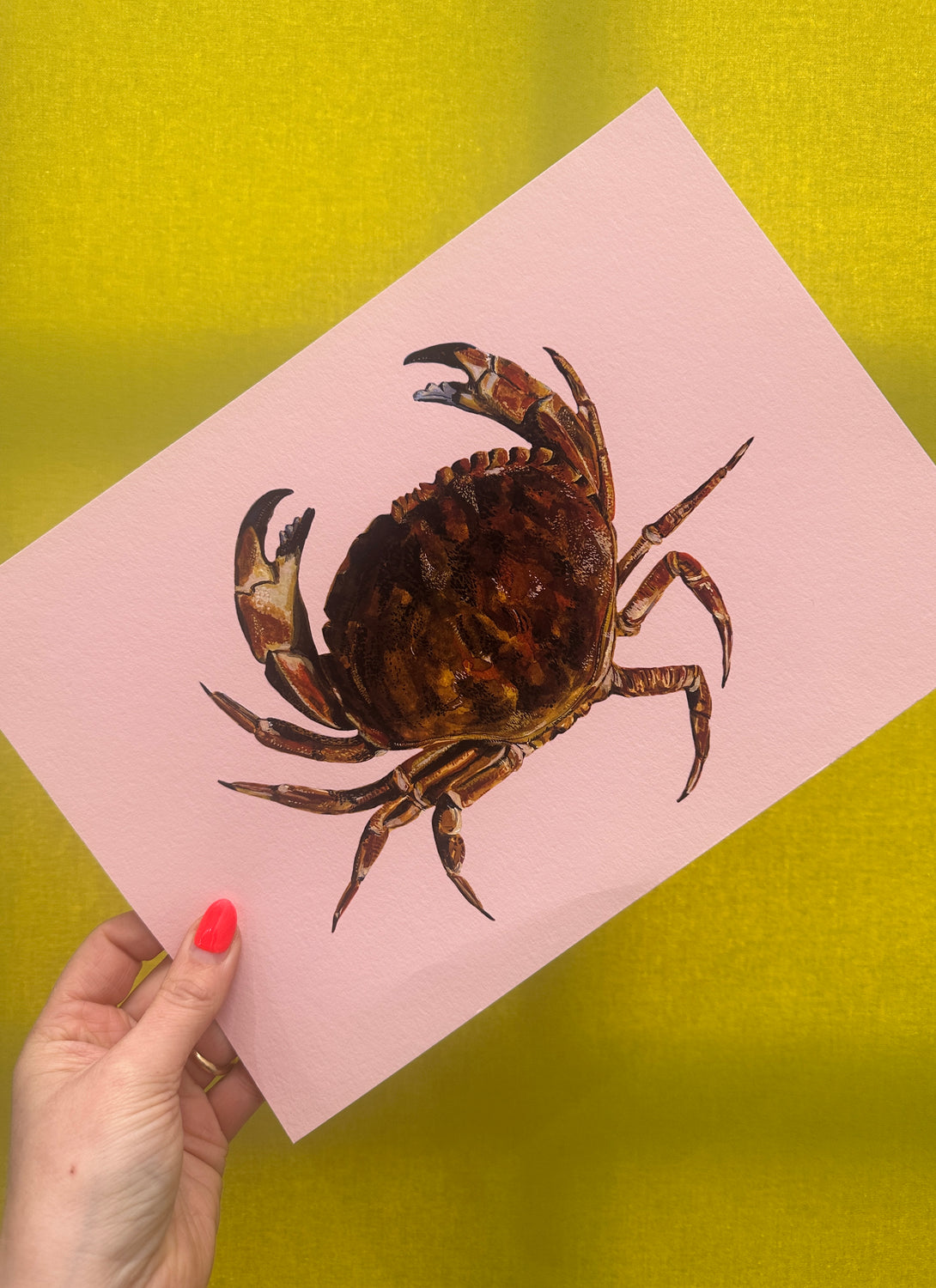 Crab Print On Pink