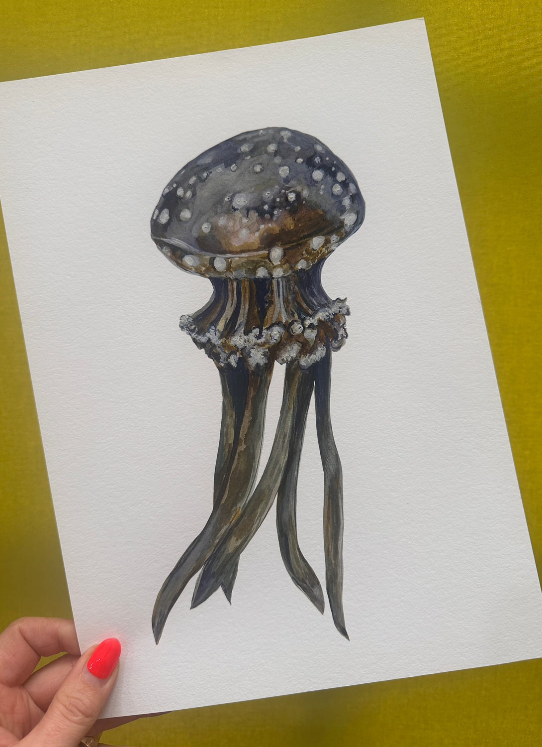 Jellyfish on White Print