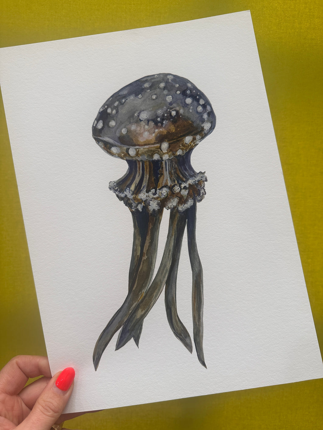 Jellyfish on White Print