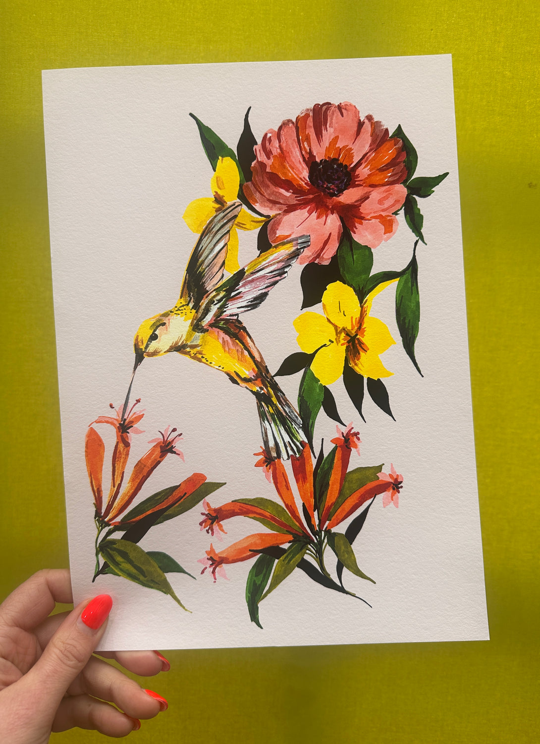 Hummingbird Floral Print