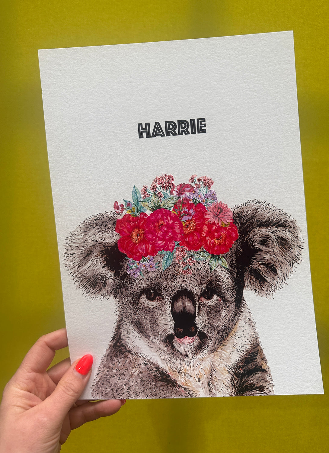 Koala Harrie Print