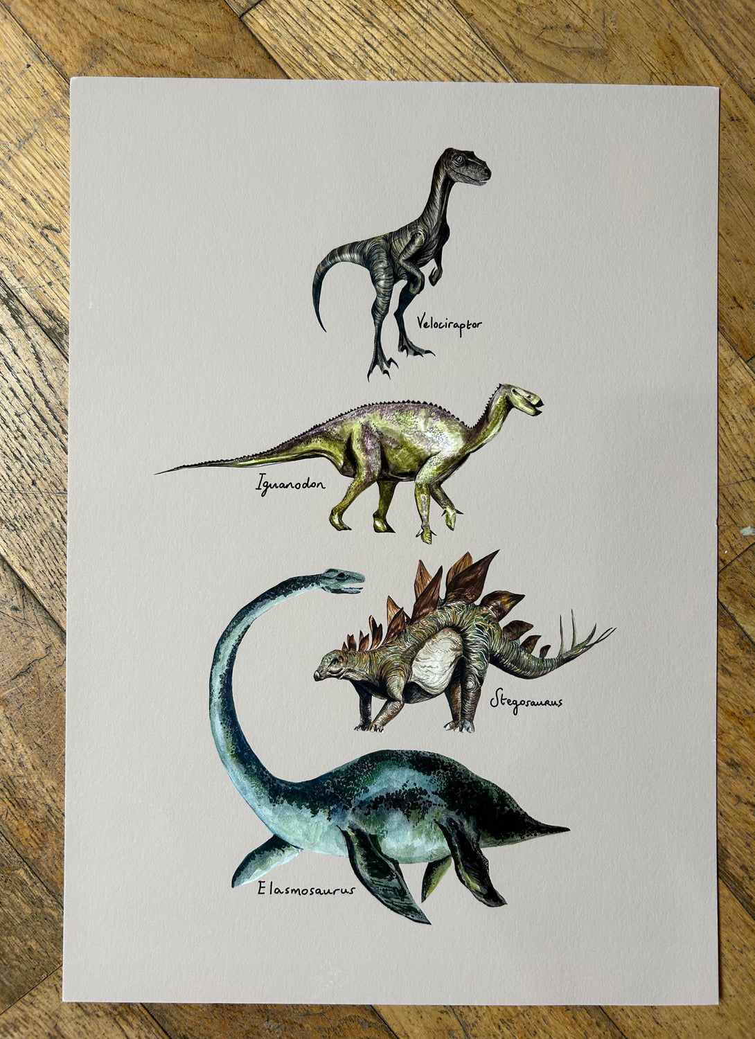 A3 Dinosaur Print on stone
