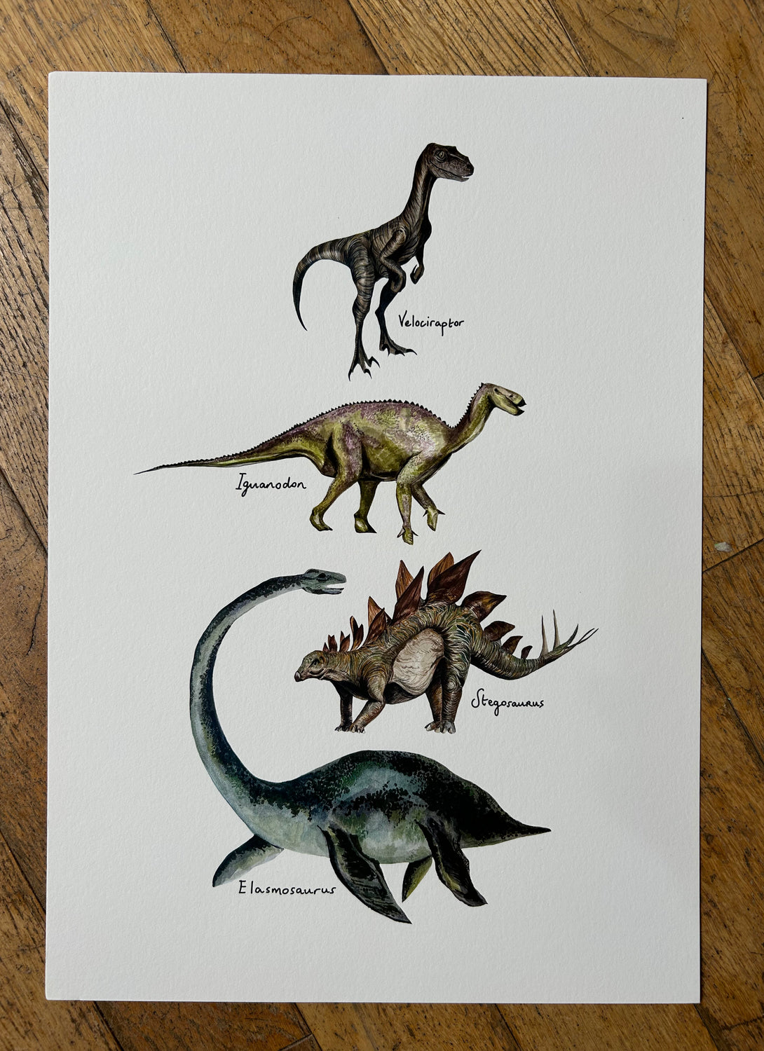 A3 Dinosaur Print on white