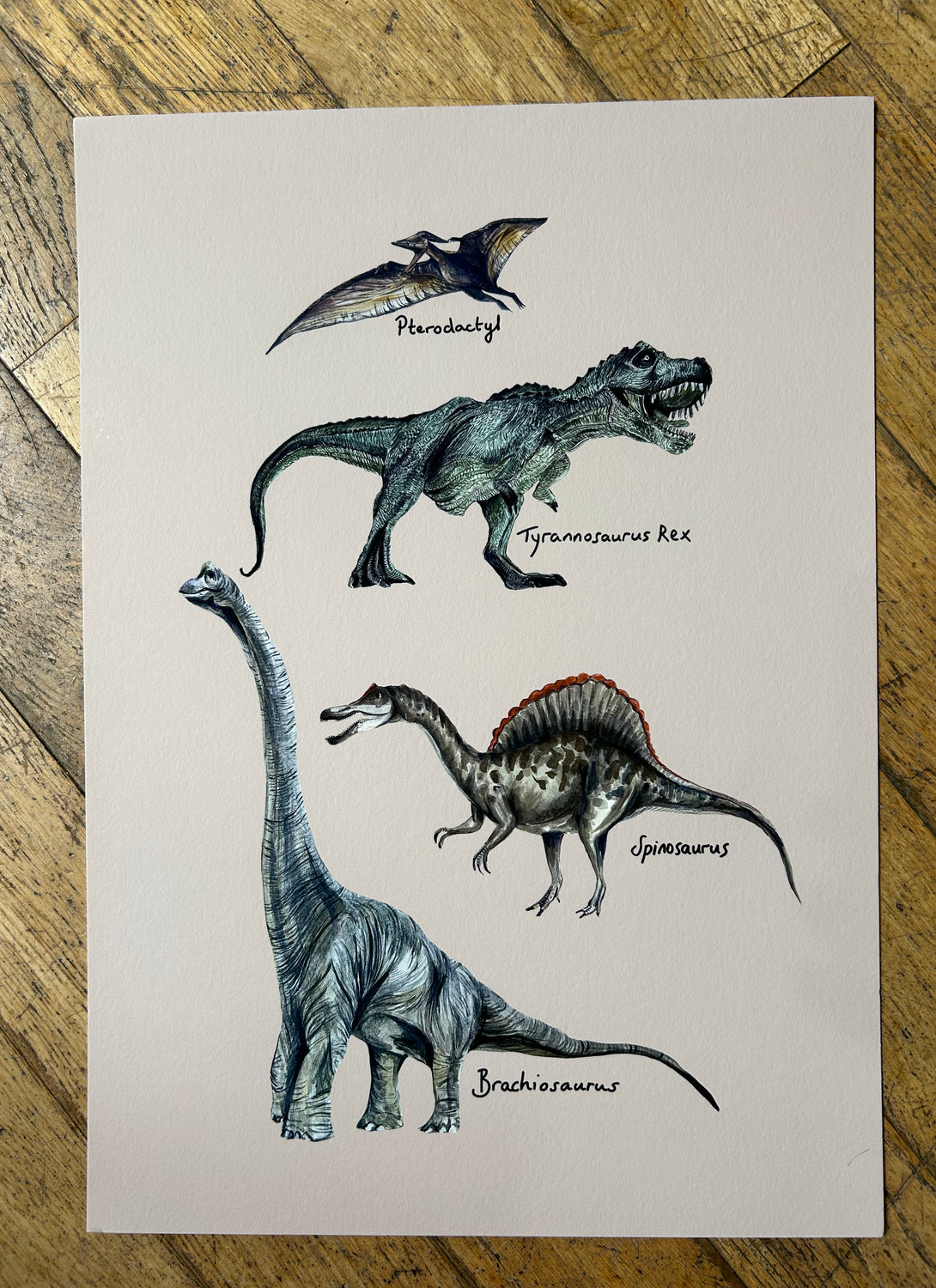 A3 Dinosaur Print on stone 2