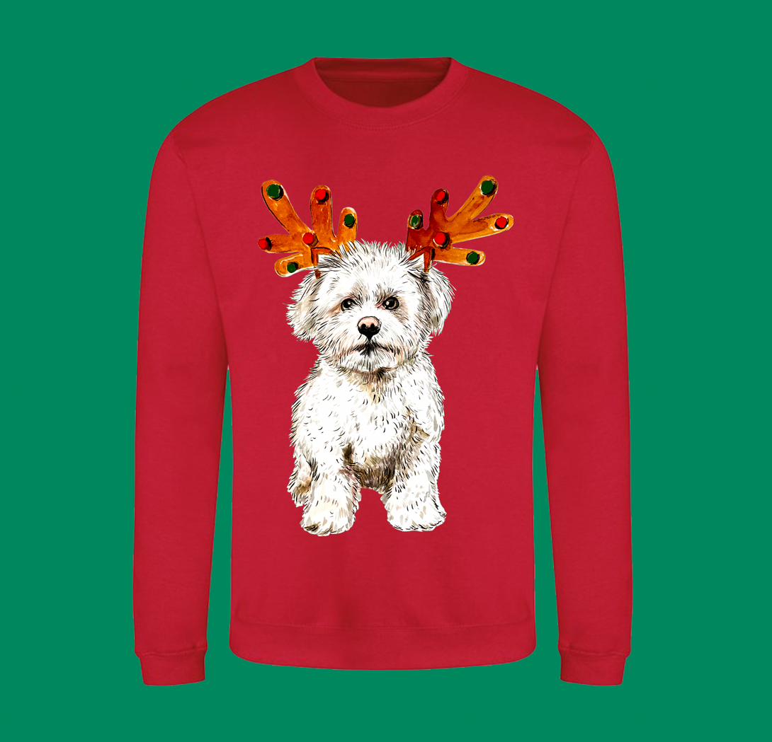 PRE ORDER Adult Reindeer Dog Christmas Jumper In Red
