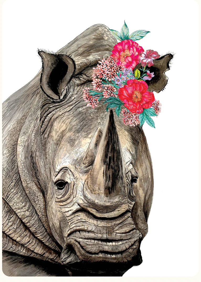 A4 Rhino Print
