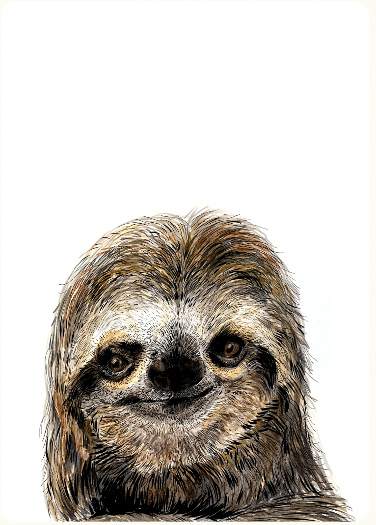 A4 Sloth Print