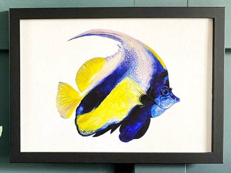 A4 Angel Fish on white Print