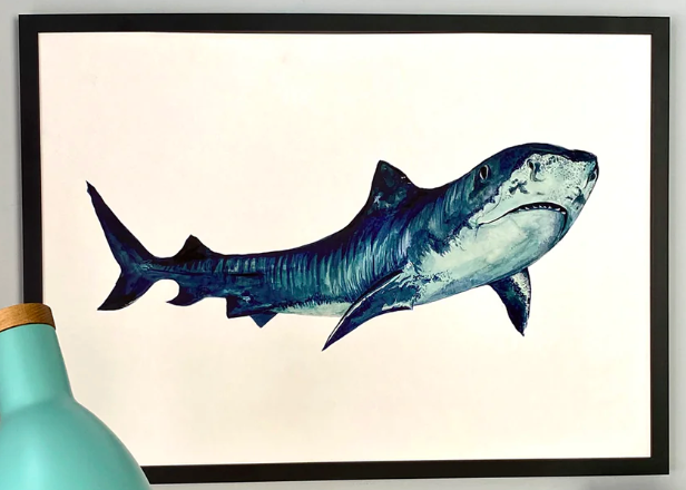 A4 Shark on white Print