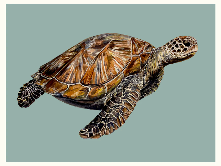 A4 Sea Turtle Giclée Print