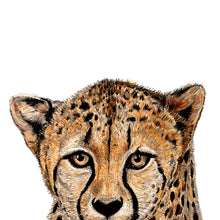 Load image into Gallery viewer, Cheetah Giclée Print
