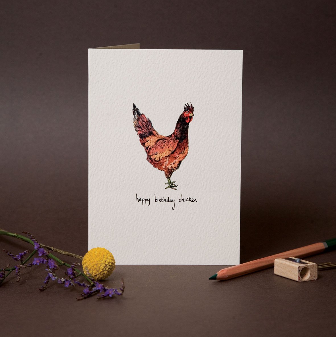 Happy Birthday Chicken – Max Made Me Do It