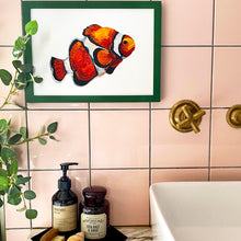 Load image into Gallery viewer, Clown Fish Giclée Print
