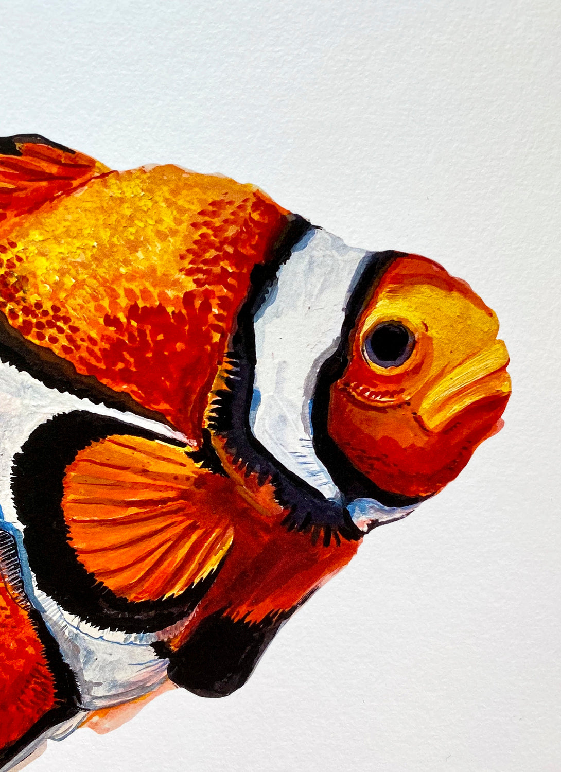 Clown Fish Giclée Print
