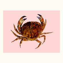 Load image into Gallery viewer, Crab Giclée Print

