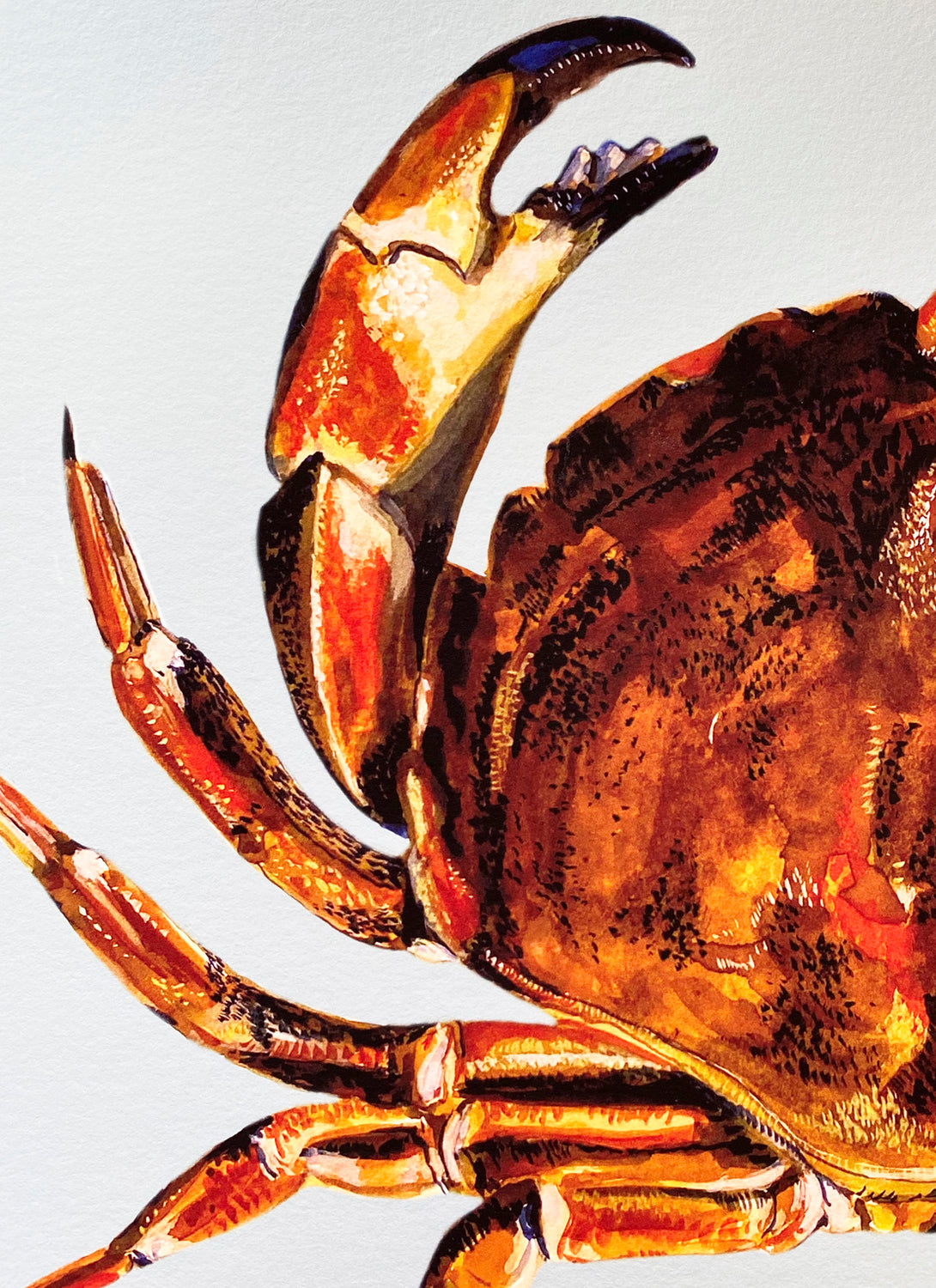 Crab Giclée Print