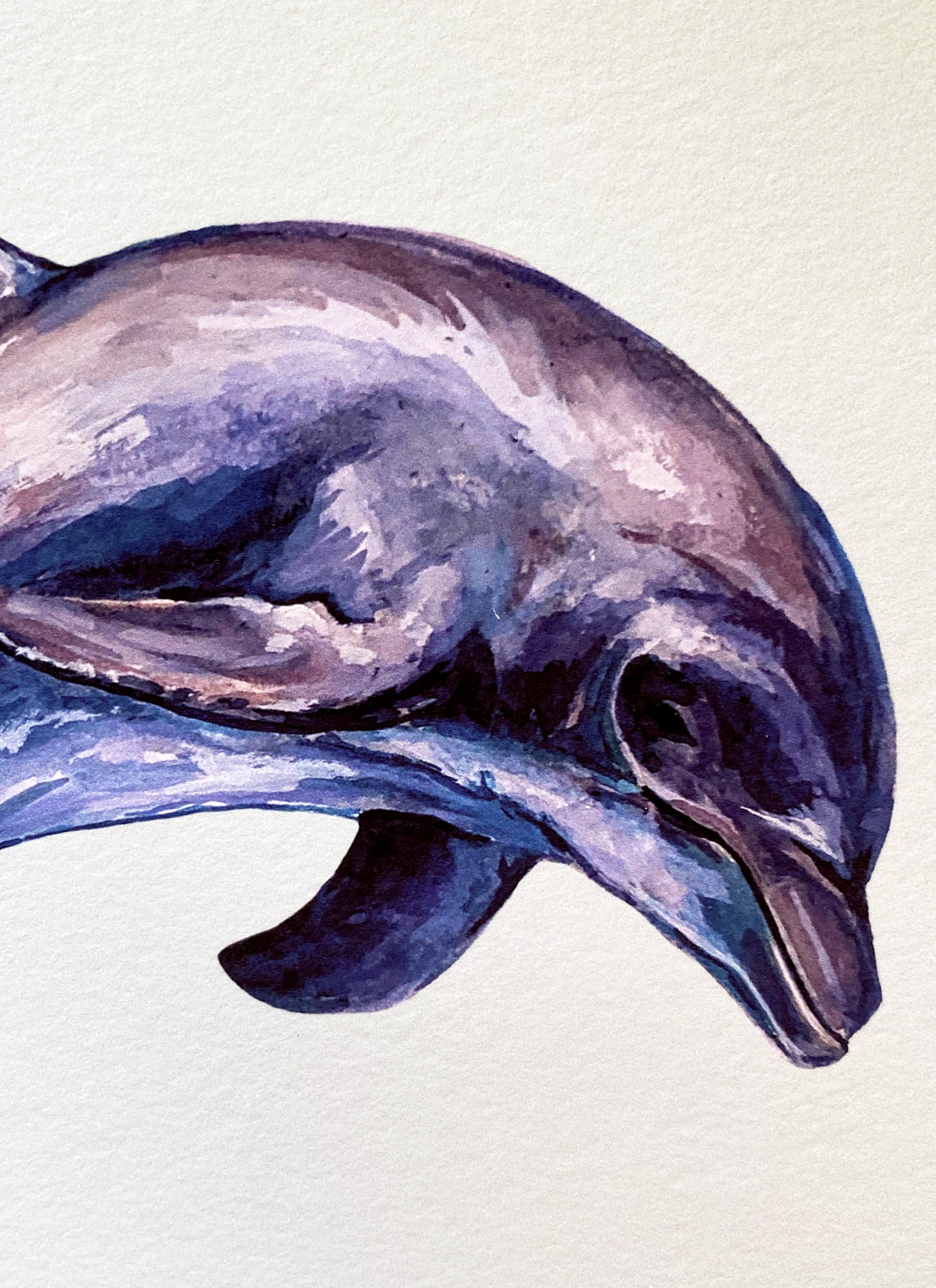 Dolphin Giclée Print