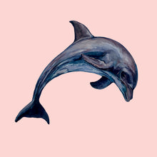 Load image into Gallery viewer, Dolphin Giclée Print
