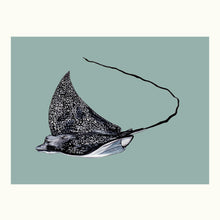 Load image into Gallery viewer, Eagle Ray Giclée Print
