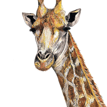 Load image into Gallery viewer, Giraffe Giclée Print
