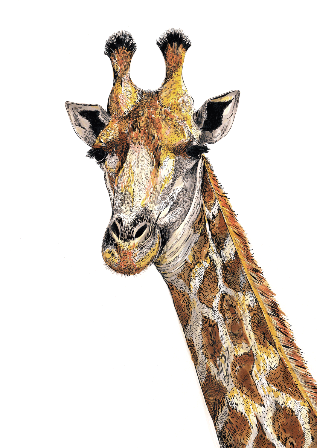 Giraffe Giclée Print