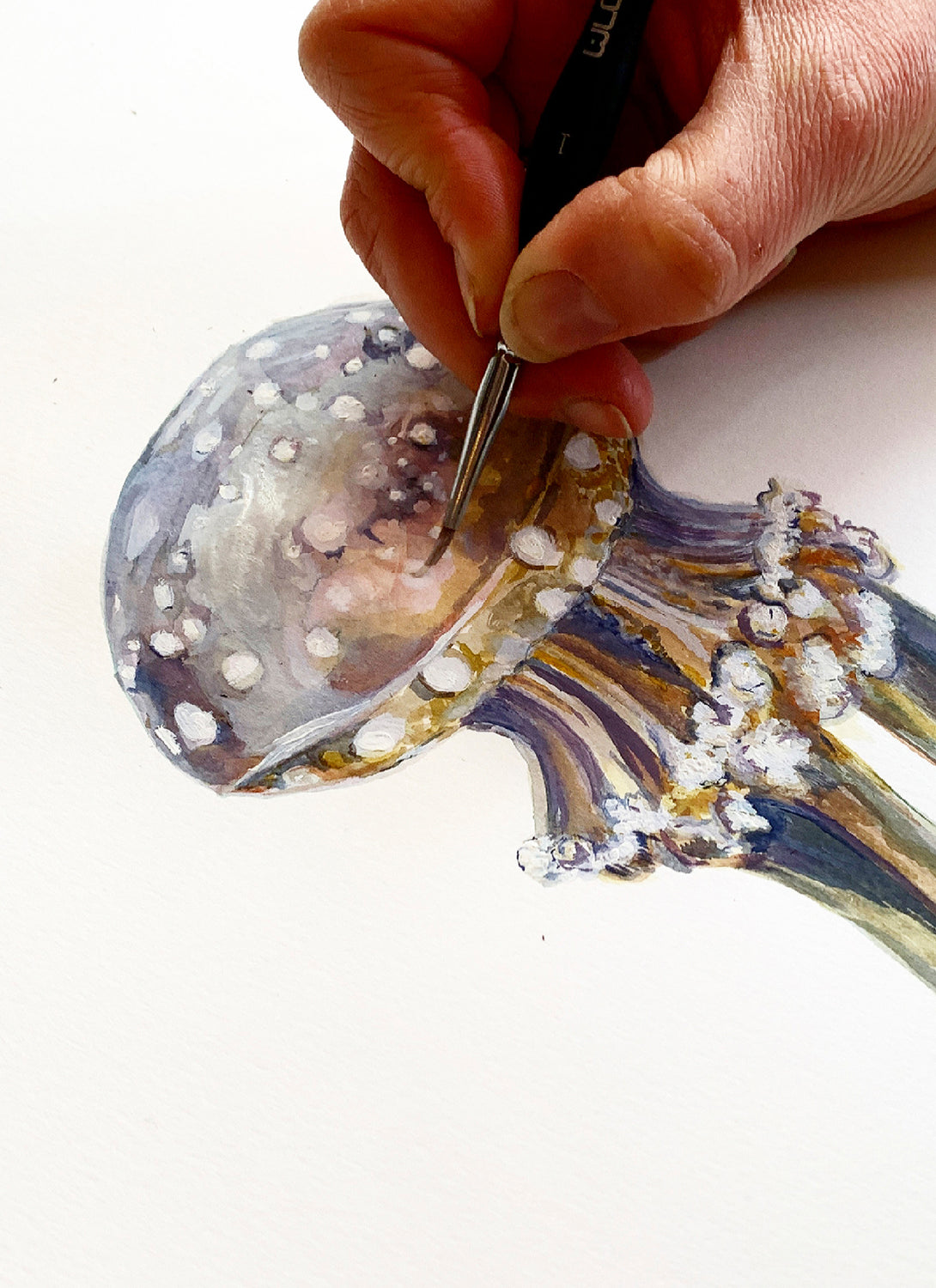 Jellyfish Giclée Print