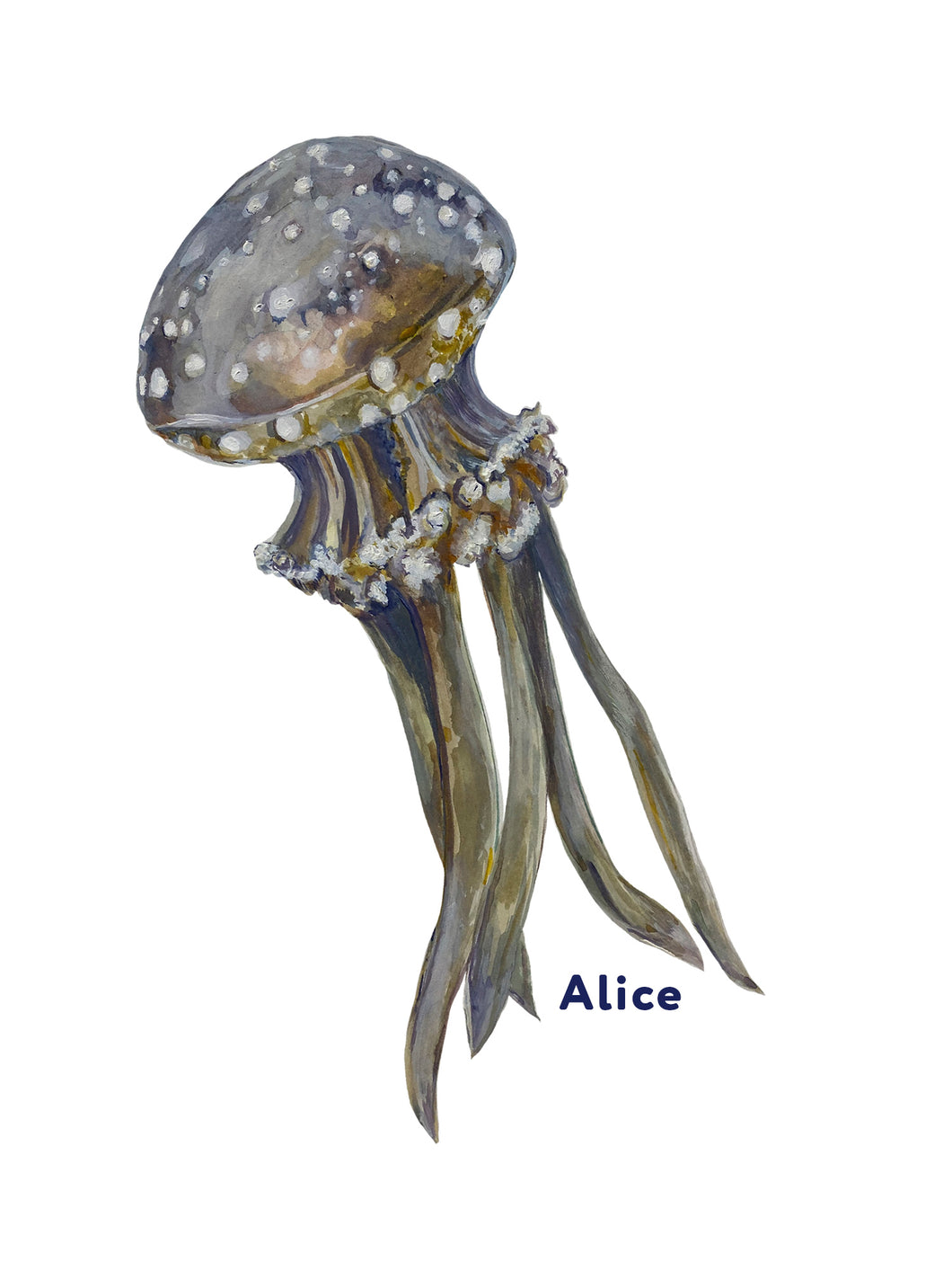 Jellyfish Giclée Print