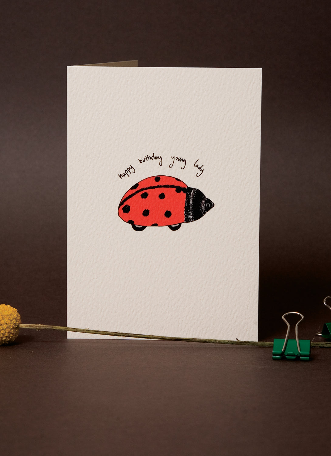 Happy Birthday Ladybird