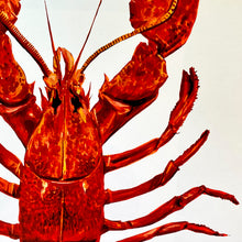 Load image into Gallery viewer, Lobster Giclée Print
