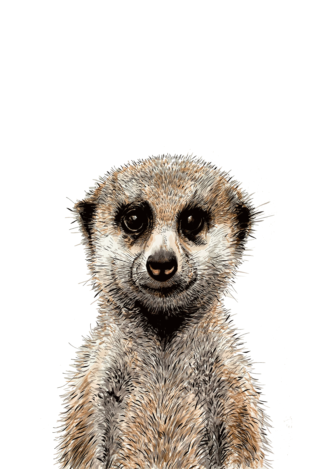 Meerkat Giclée Print