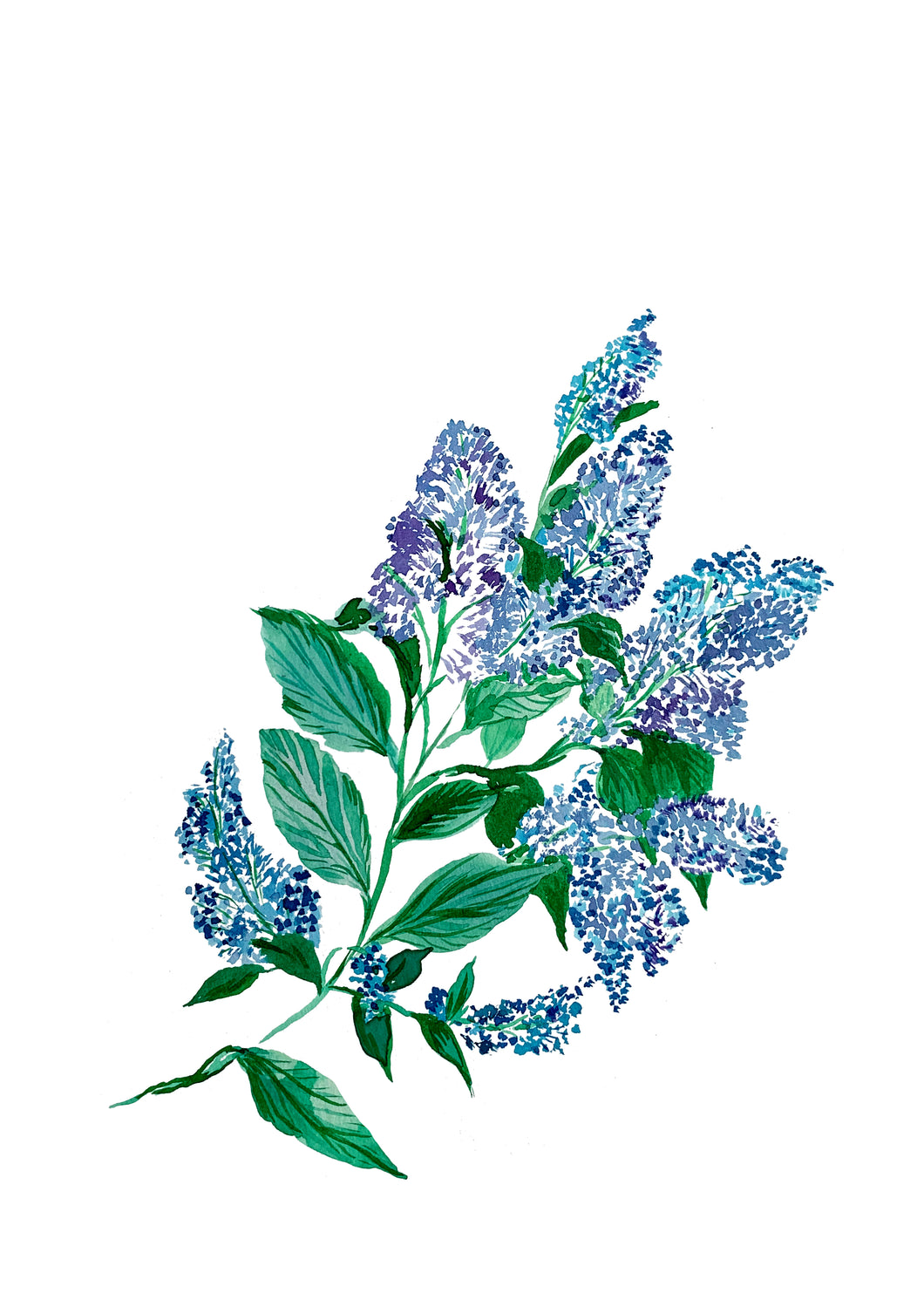 NHS Blue Floral Study Giclée Print