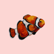 Load image into Gallery viewer, Clown Fish Giclée Print
