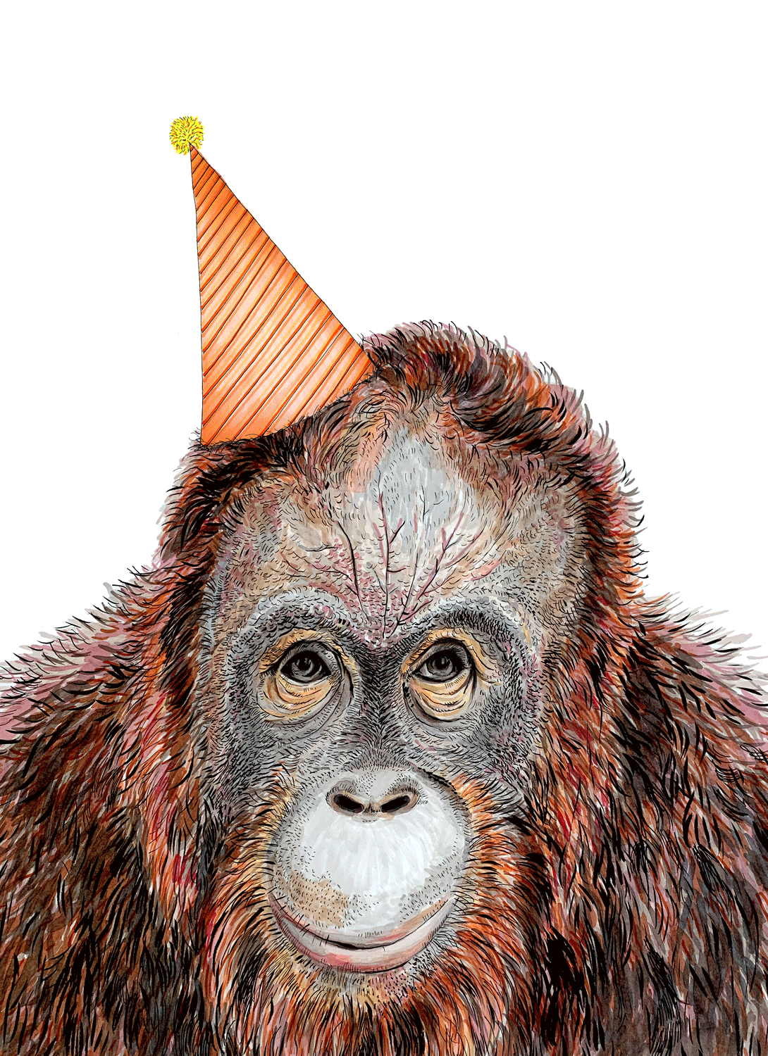 Orangutan Giclée Print