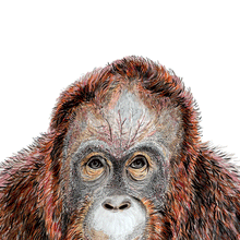 Load image into Gallery viewer, Orangutan Giclée Print
