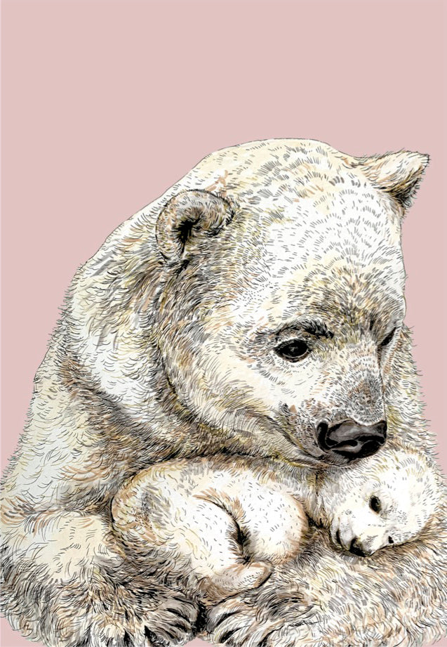 Polar Bear On Pink