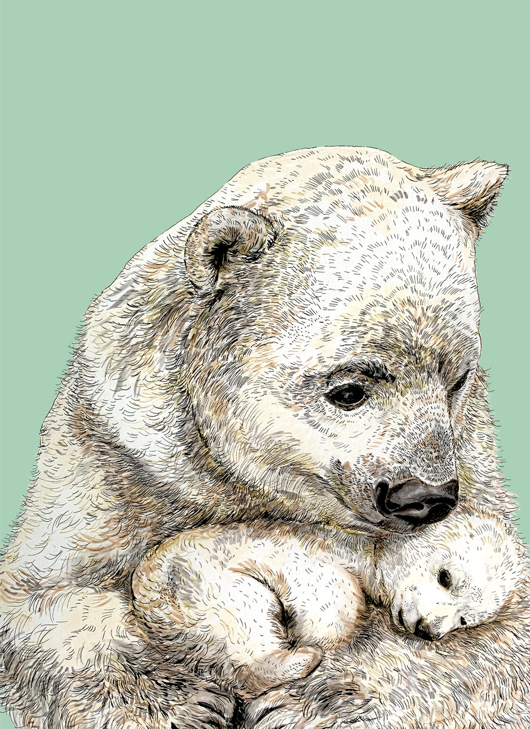 Polar Bear On Mint