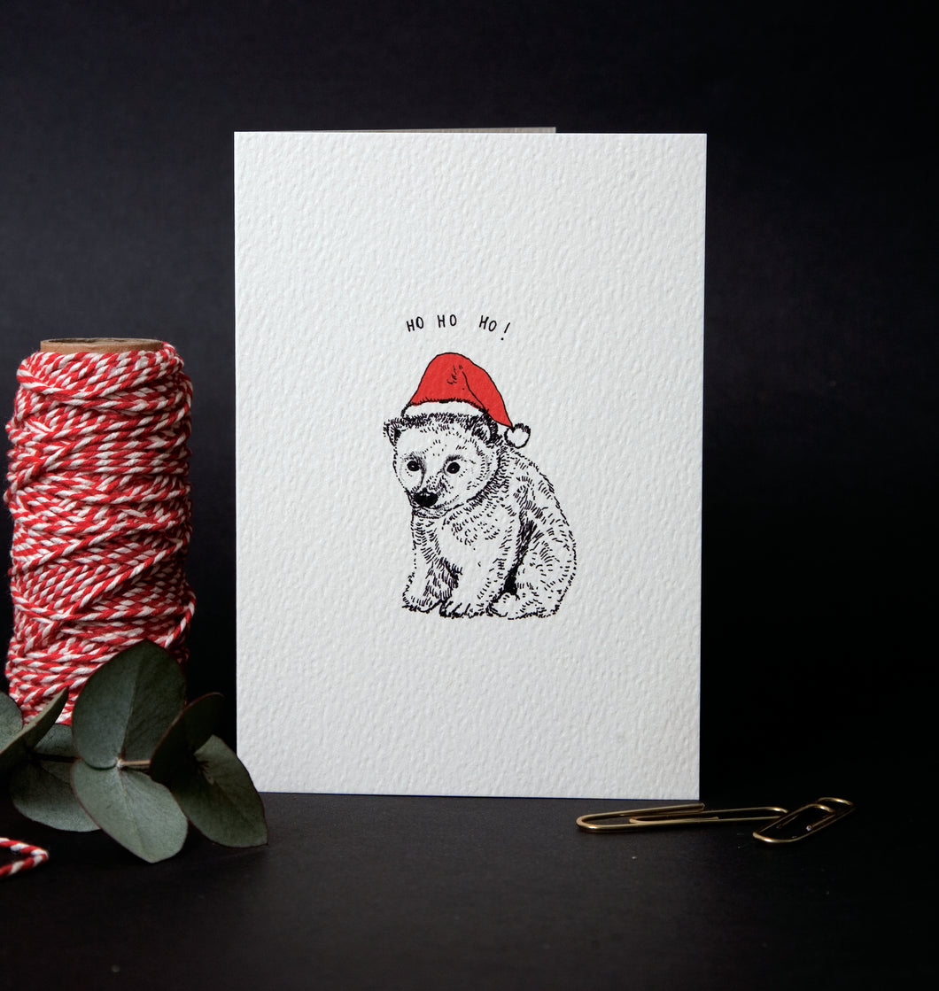 Polar Bear