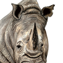 Load image into Gallery viewer, Rhino Giclée Print
