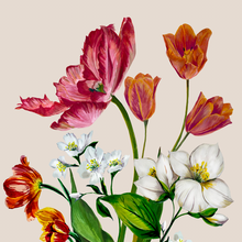 Load image into Gallery viewer, Jasmine &amp; Tulips Giclée Print
