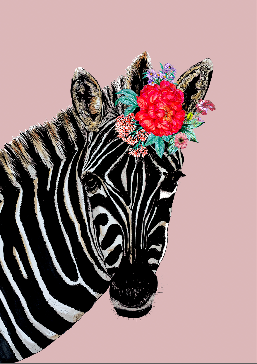 Zebra On Colour Giclée Print