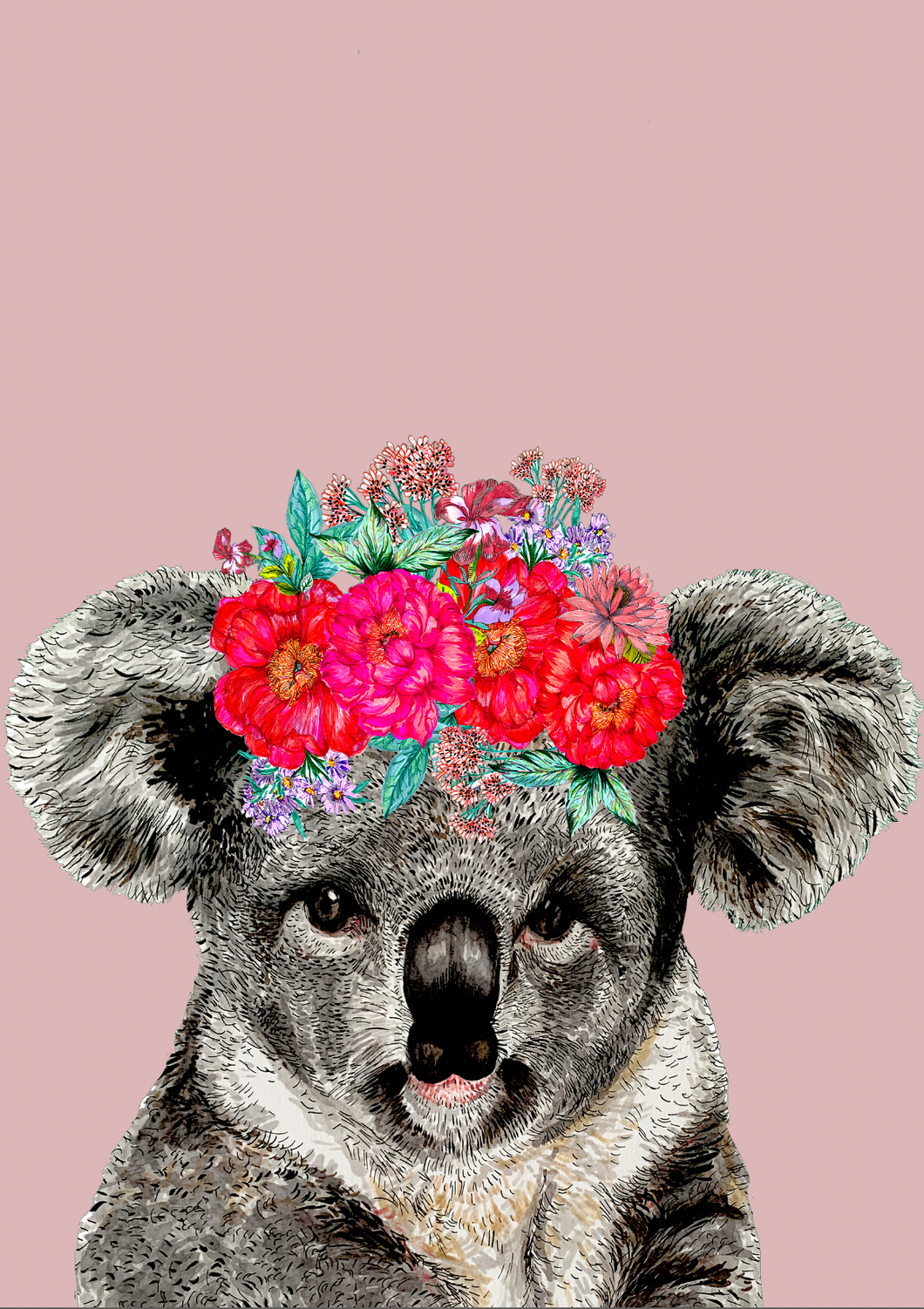 Koala On Colour Giclée Print