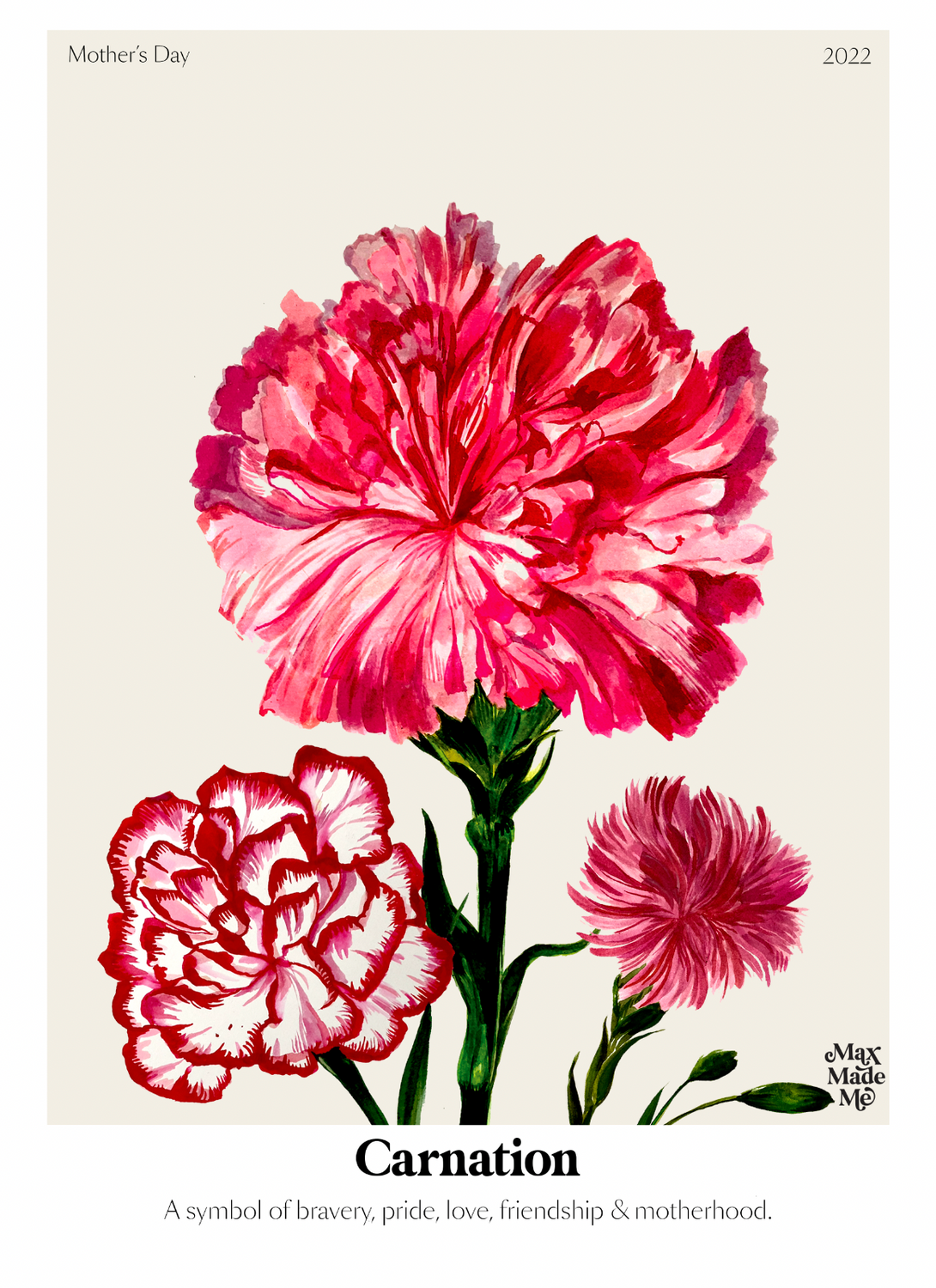 The Language of Flowers Carnation Giclée Print