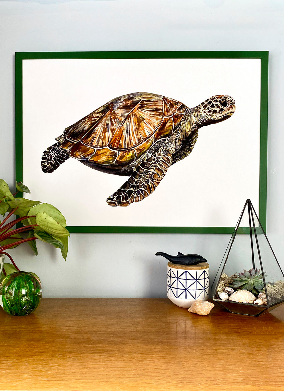 Sea Turtle Giclée Print