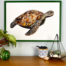Load image into Gallery viewer, Sea Turtle Giclée Print
