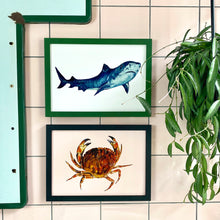 Load image into Gallery viewer, Tiger Shark Giclée Print
