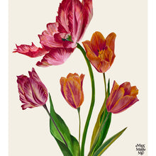 Load image into Gallery viewer, The Language of Flowers Tulips Giclée Print
