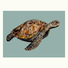 Load image into Gallery viewer, Sea Turtle Giclée Print
